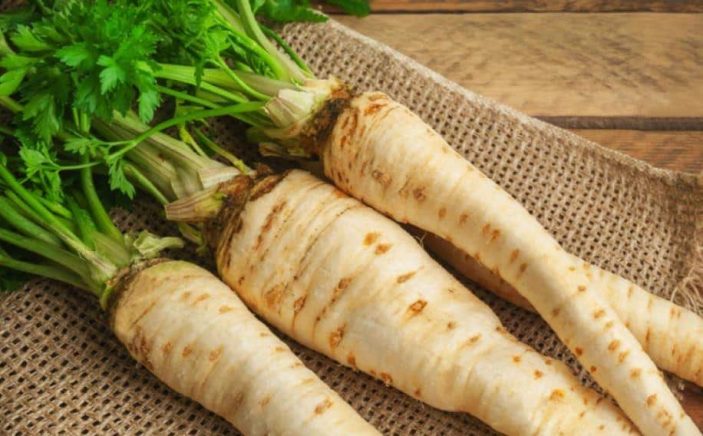 Can rabbits eat parsnips