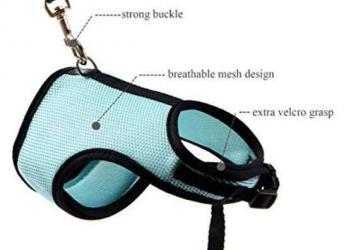 6 Best Rabbit Harness Leash Brands for Sale | Pet Care Advisors