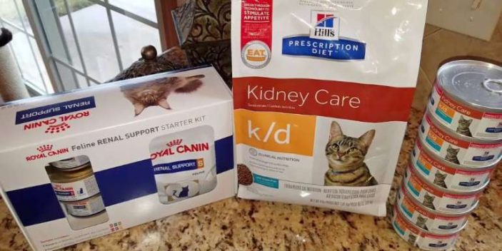 Foods for Cats with Kidney Disease