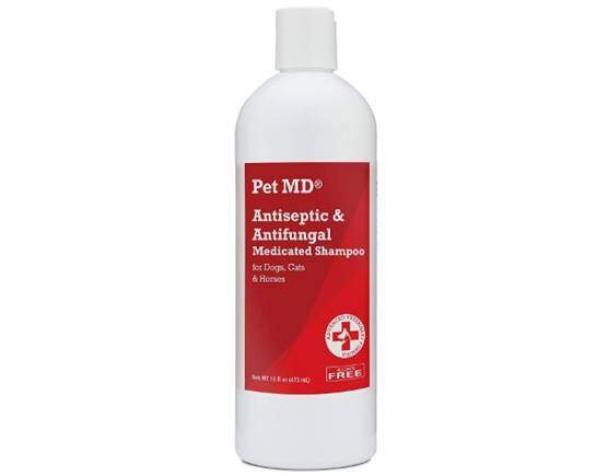 Pet MD - Antiseptic and Antifungal Medicated Shampoo for Dogs, Cats and Horses with Chlorhexidine and Ketoconazole