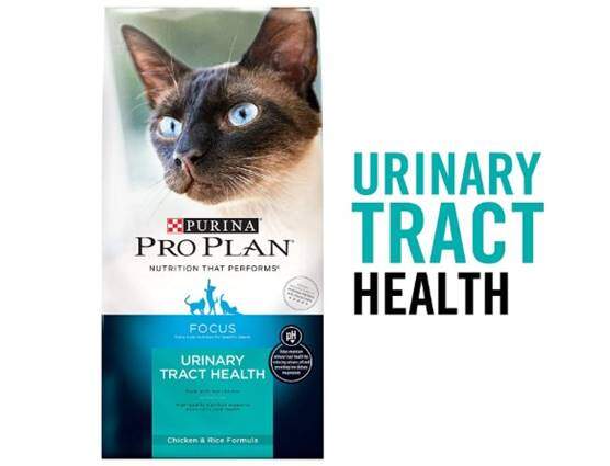 Purina Pro Plan Dry Cat Food Formulas – Urinary Tract Health