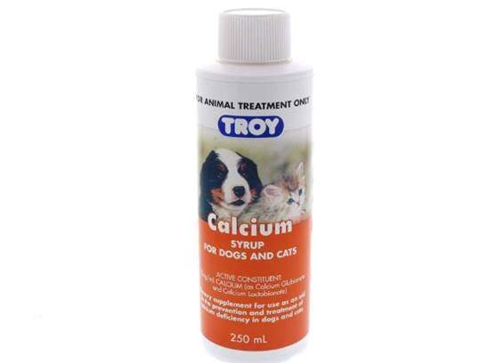 Troy Calcium Syrup
