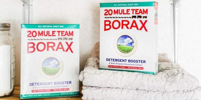 20 Mule Team Borax - Is borax safe for cats