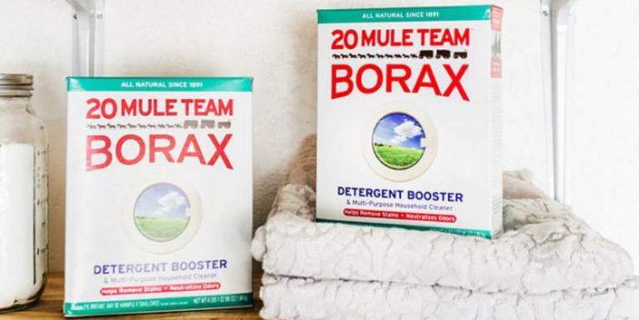 Is Borax Safe Or Toxic For Cats Pet Care Advisors