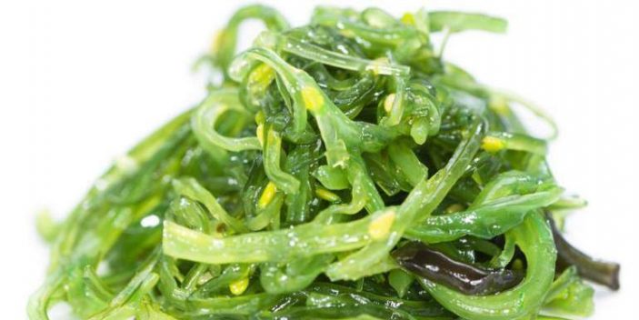 Can cats eat seaweed - Kelp