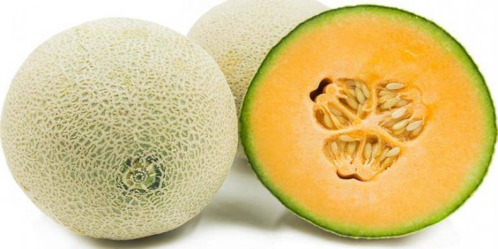 Can cats have cantaloupe. Why do they love them