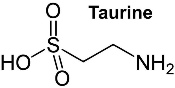 Do cats need Taurine?