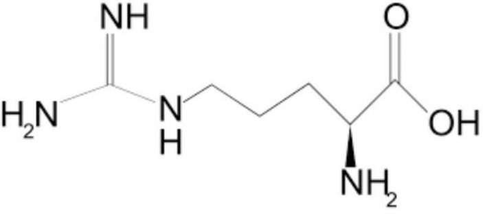 L-arginine amino acids - Do cats need it