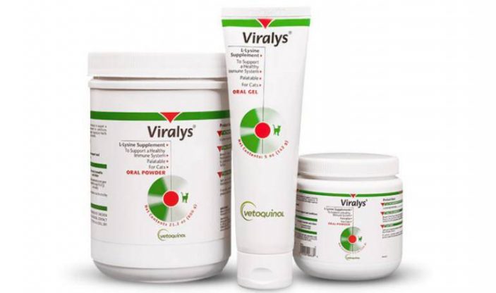 Lysine supplements for cats - Viralys