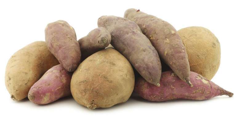 Can Cats Eat Yams Cassava Potatoes Or Sunchokes Pet Care Advisors