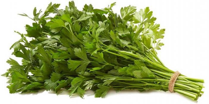 Is Parsley Safe For Cats To Eat Pet Care Advisors