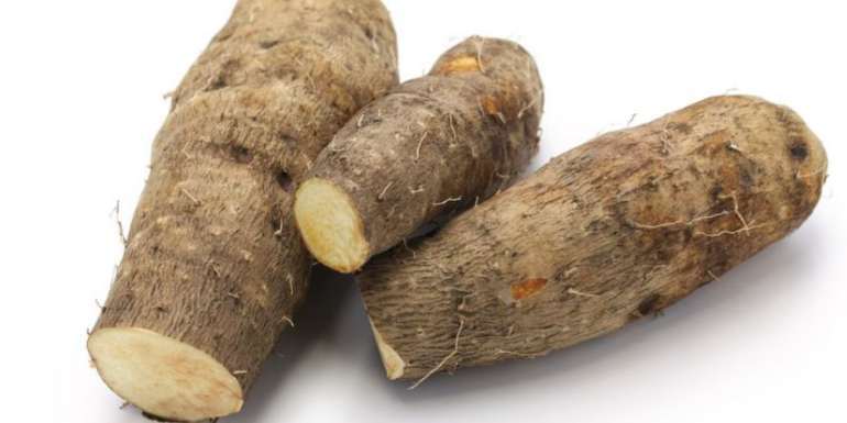 Can Cats Eat Yams Cassava Potatoes Or Sunchokes Pet Care Advisors