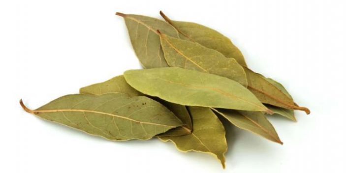 Can Dogs Eat Bay Leaves Or Are They Poisonous Pet Care Advisors