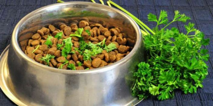 Can dogs eat parsley