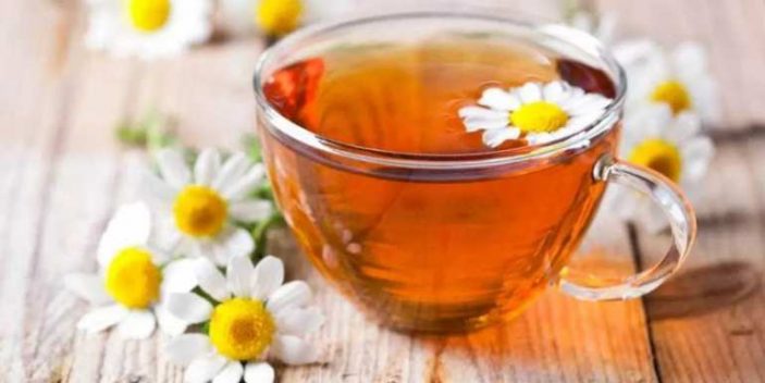 Is chamomile safe for cats