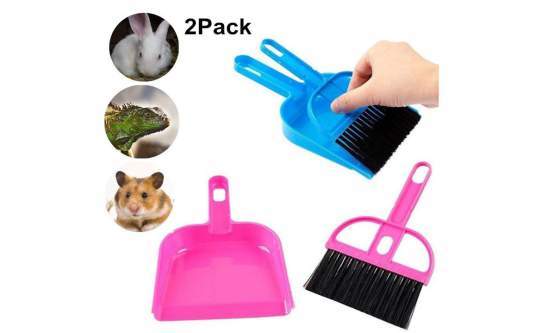 Mini Reptile Sand Scooper Set