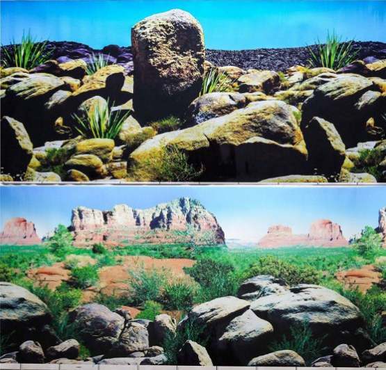 24 (60cm) Double Sided Aquarium Background Backdrop Fish Tank Reptile Vivarium Marine