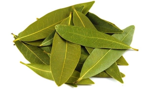 Bay Leaves