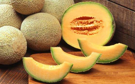 Cantaloupe