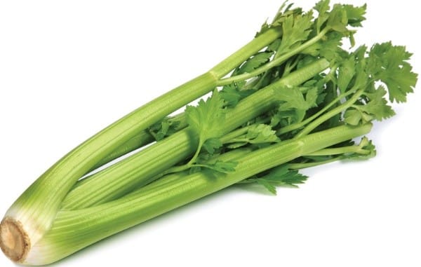 Celery