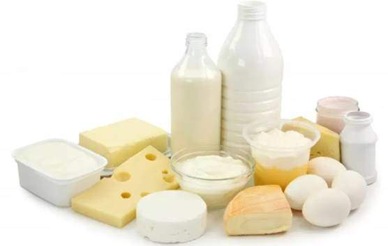 Cheese, milk, ice cream, and dairy products