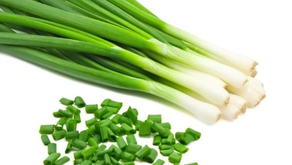 Chives