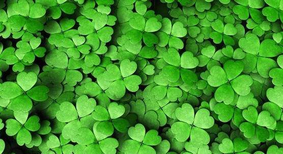 Clovers