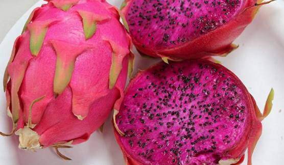 Dragon fruit