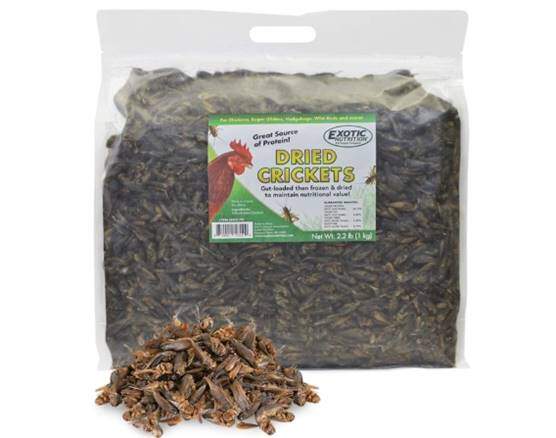 Dried Crickets (2.2 lb.) - High Protein Insect Treat