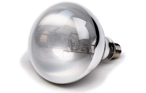 Evergreen Pet Supplies 100 Watt UVA UVB Mercury Vapor Bulb