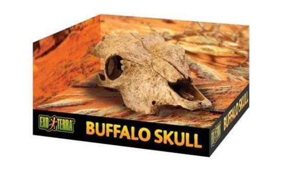 Exo Terra Buffalo Skull Terrarium D