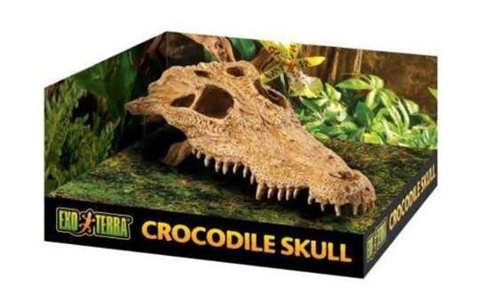 Exo Terra Crocodile Skull Terrarium Decor Hideout for Reptiles and Amphibians