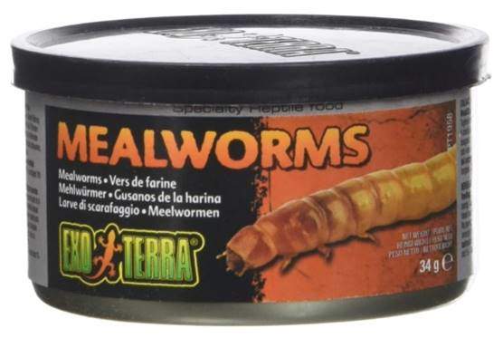 Exo Terra Reptiles Canned Food, Mealworms