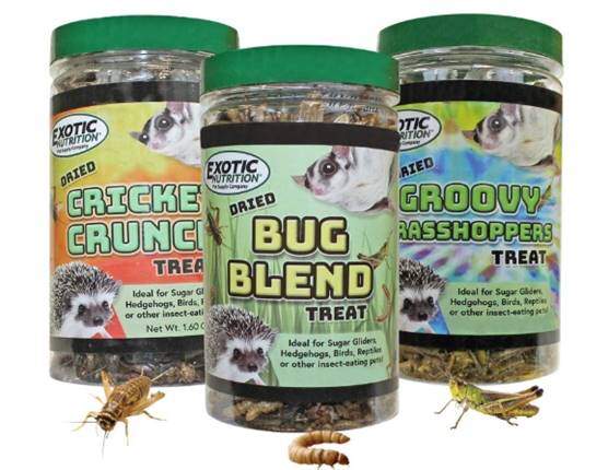 Exotic Nutrition Dried Insect 3 Pack - Crickets, Grasshoppers, Mealworms