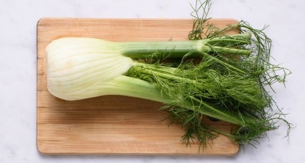 Fennel