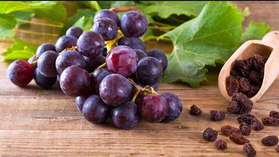 Grapes and raisins