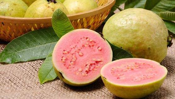 Guava