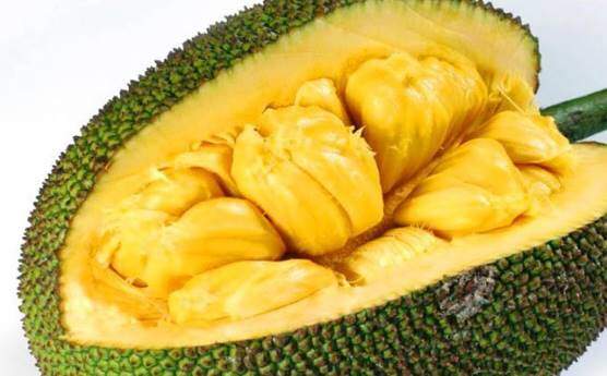 Jackfruit