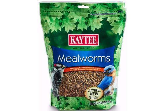 Kaytee 100505655 Mealworms, 17.6 oz