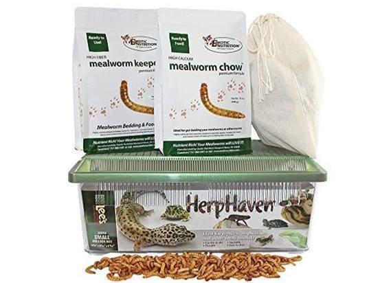 Mealworm Breeder Kit