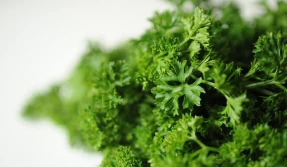 Parsley