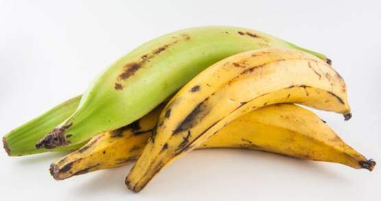 Plantain