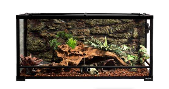 REPTI ZOO Reptile Glass Terrarium,Double Hinge Door