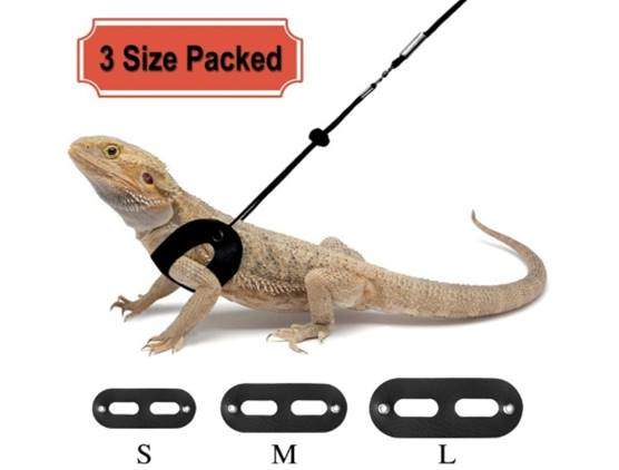 RYPET 3 Packs Bearded Dragon Harness and Leash Adjustable(S,M,L)