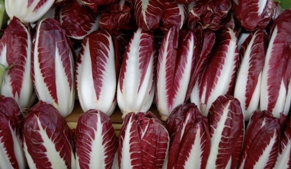 Radicchio