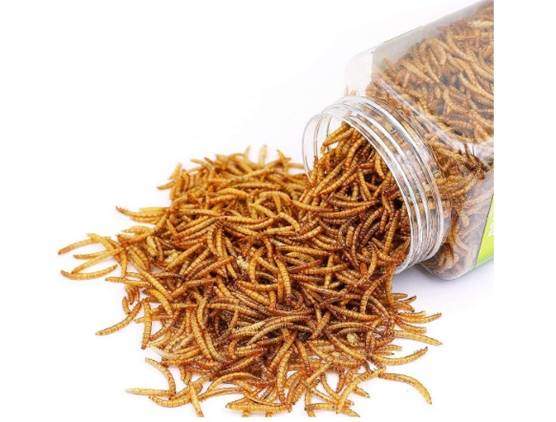 Sequoia Reptile Food Dried Mealworms Pet Worms Food