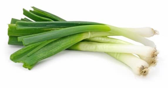Spring or green onions – scallions