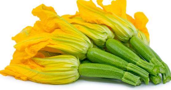 Squash and Zucchini flowers