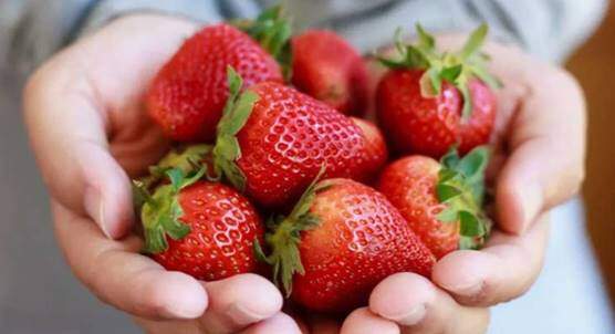 Strawberries