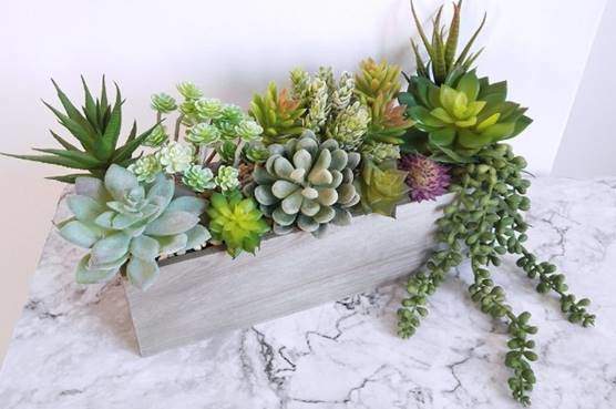 Supla Pack of 14 Assorted Artificial Succulents Picks